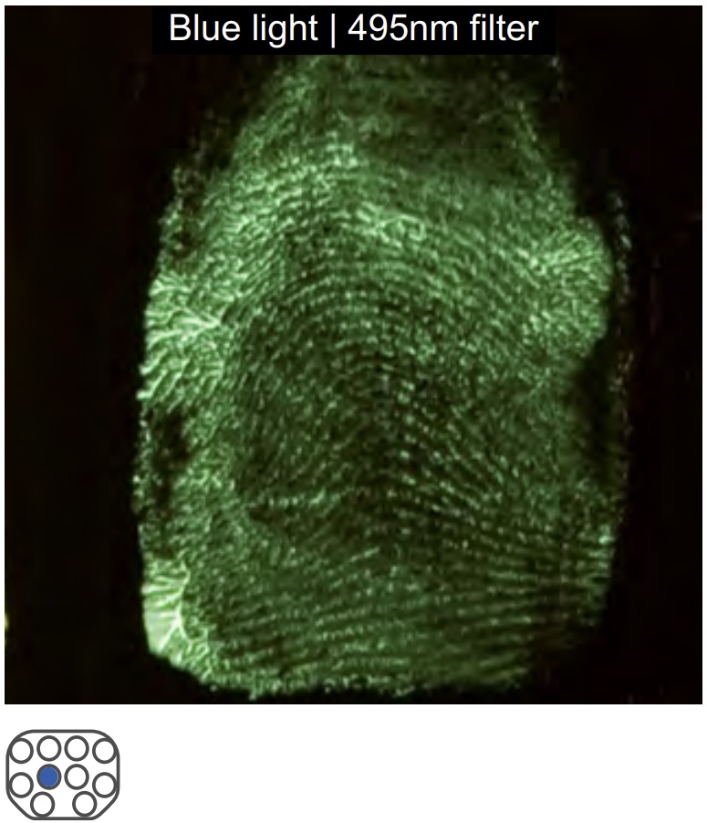 clx fingerprint engine grease