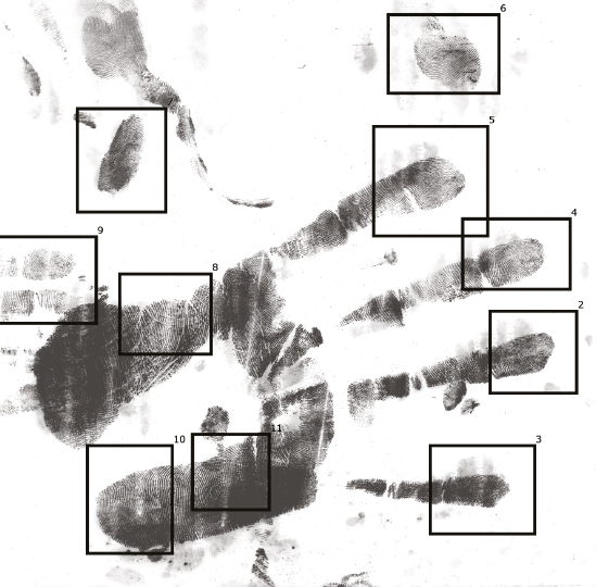AI ASSIST is a unique software tool that assists the examiner in the detection of fingermark ridge detail. The software can significantly speed up the process of fingerprint detection and mark-up.