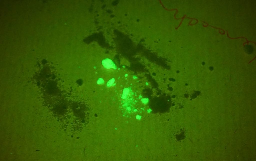 Cocaine fluorescing blue LASER 530bp