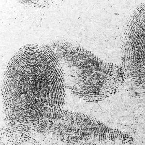 Fingermark treated by a forensic examiner with Indandione and illuminated with a forensic light source to enhance the visualisation.