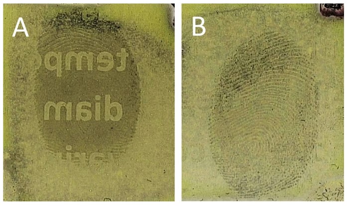 Forensic disciplines combine to develop new fingerprinting technique that could help spot document fraud