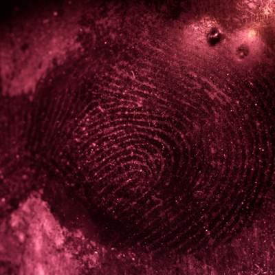 Treated fingermark visualised under forensic UV illumination.