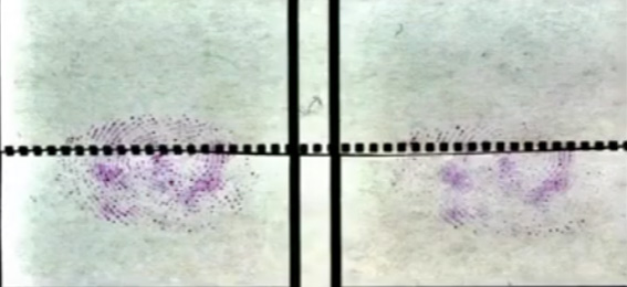 <span class="search-title-tag">Webinar - </span>Alternative Solvent Carrier Solvent for Fingermark enhancement Reagents